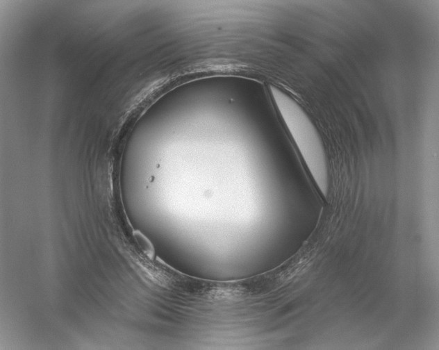 X0000056000350200509092052