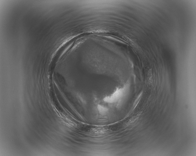 X0000056000351200509092052