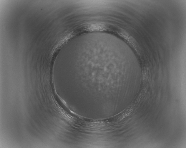 X0000056000353200509092052