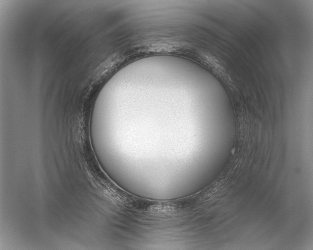 X0000056000354200509092052