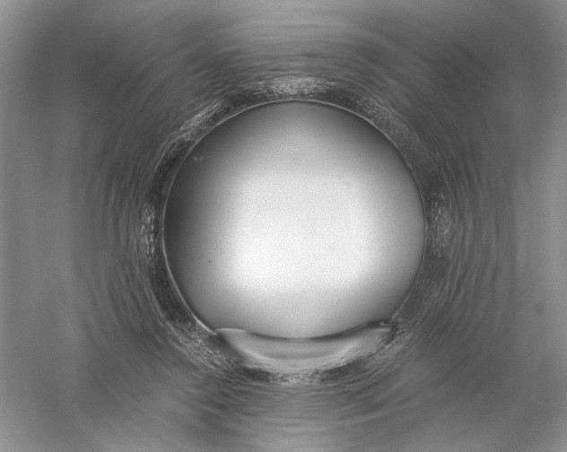 X0000056000356200509092052