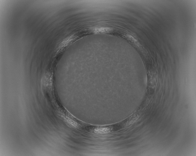 X0000056000357200509092052