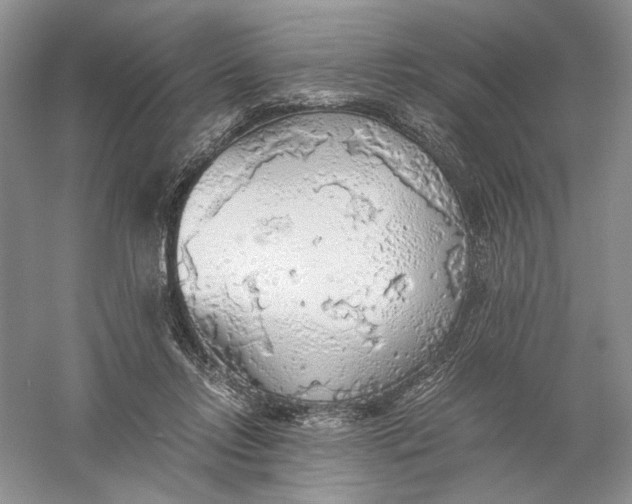 X0000056000358200509092052