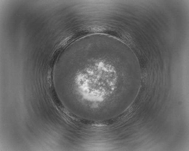 X0000056000360200509092052