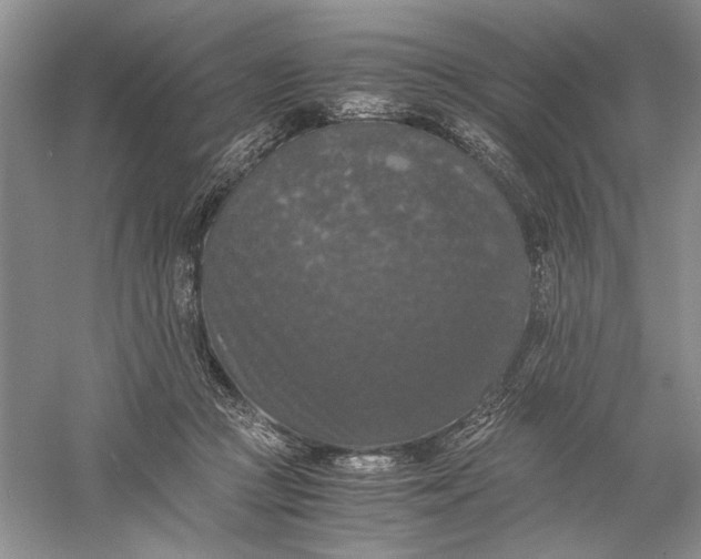 X0000056000361200509092052