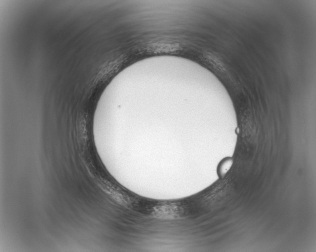 X0000056000362200509092052