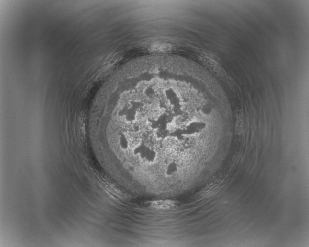 X0000056000363200509092052