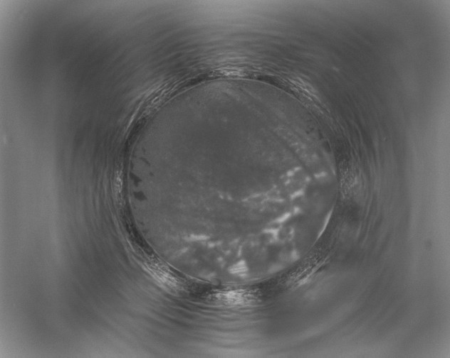 X0000056000365200509092052