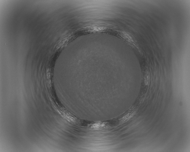 X0000056000366200509092052