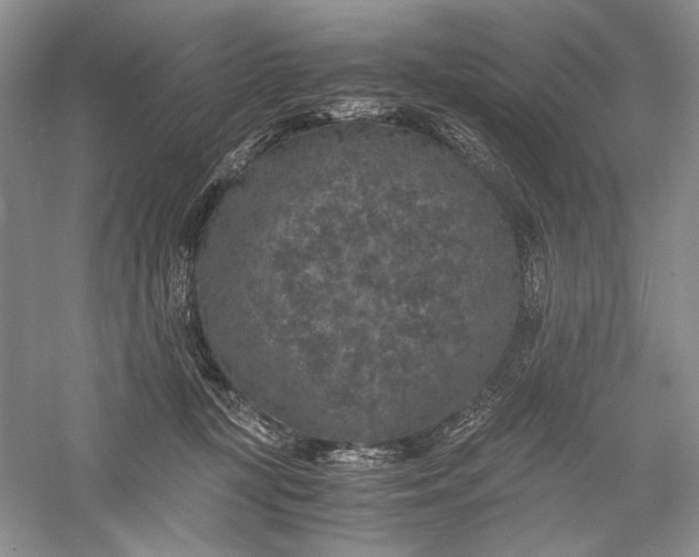 X0000056000367200509092052