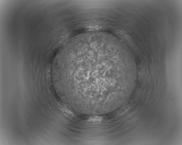 X0000056000369200509092052