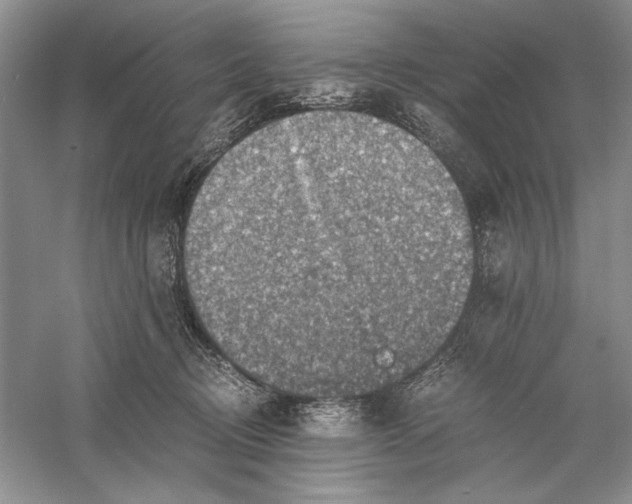 X0000056000370200509092052