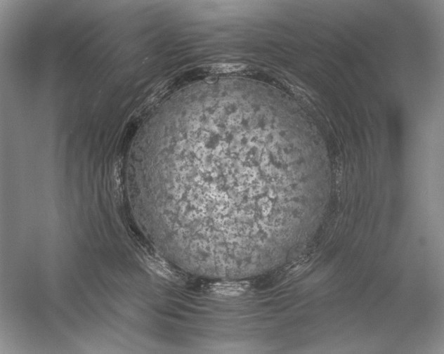 X0000056000373200509092052