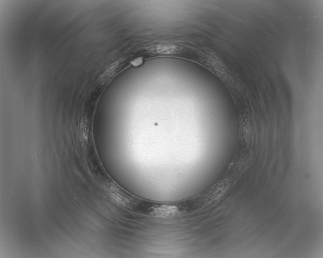 X0000056000374200509092052