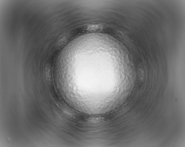 X0000056000375200509092052