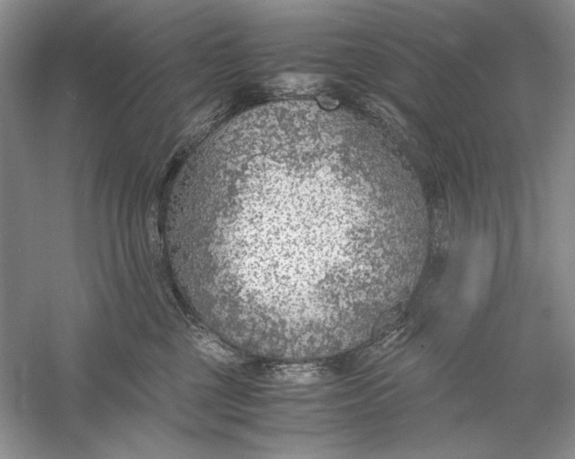 X0000056000377200509092052