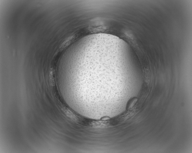 X0000056000378200509092052