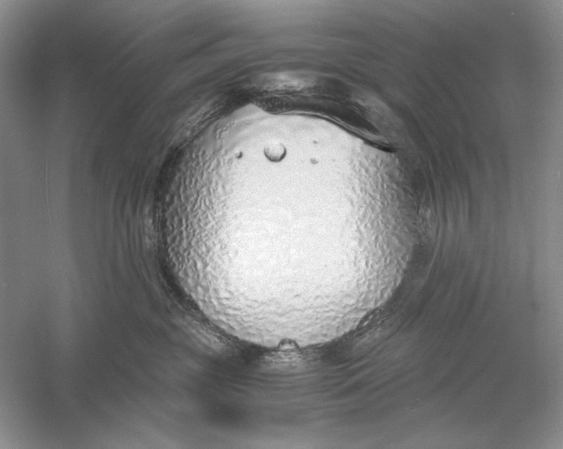 X0000056000381200509092052