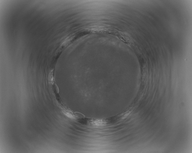 X0000056000383200509092052