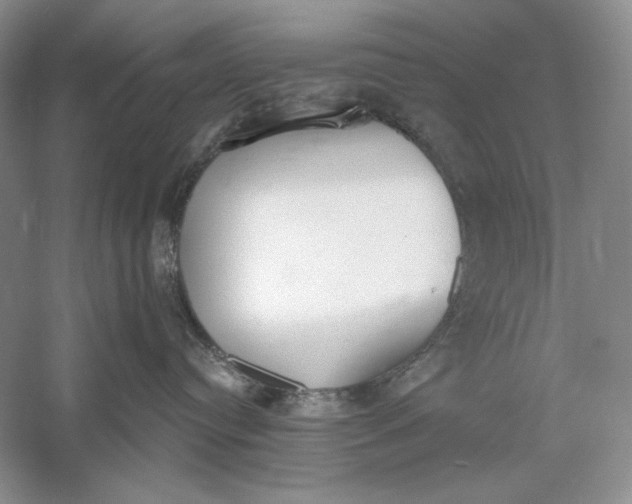 X0000056000384200509092052