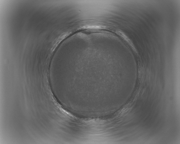 X0000056000385200509092051