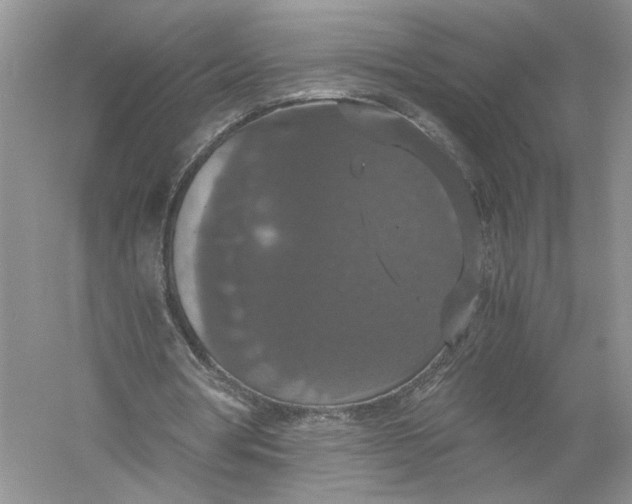 X0000056000386200509092051