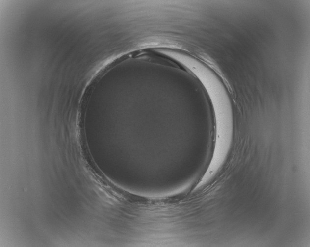 X0000056000387200509092051