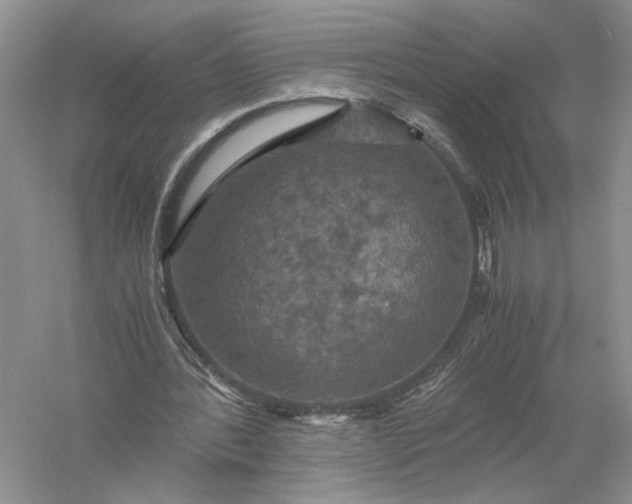 X0000056000388200509092051