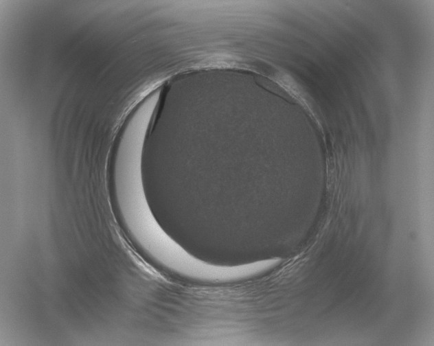 X0000056000389200509092051