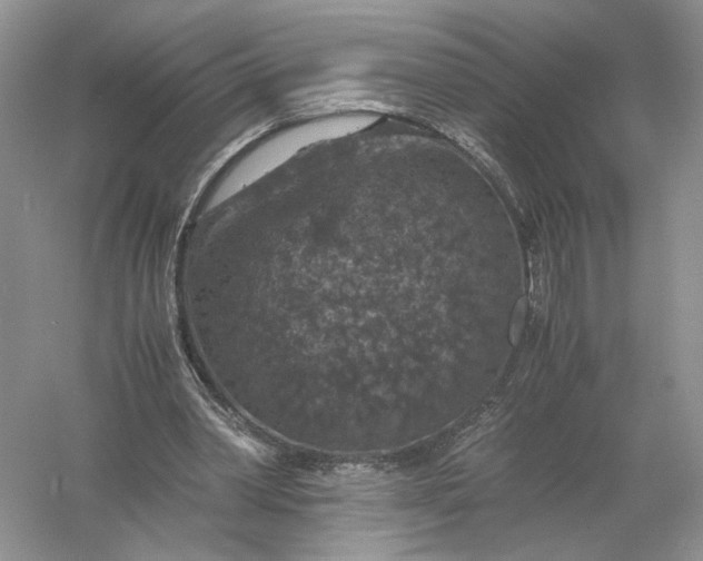 X0000056000390200509092051