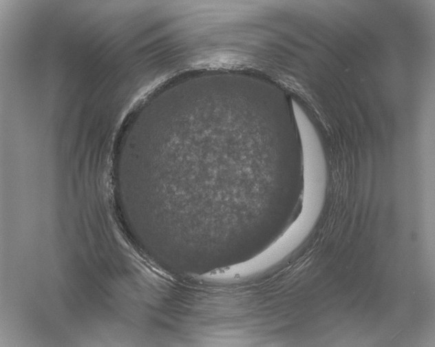 X0000056000392200509092051