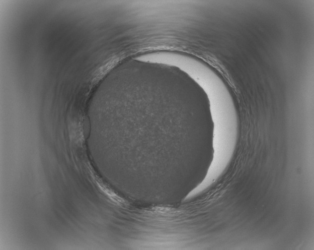 X0000056000393200509092051