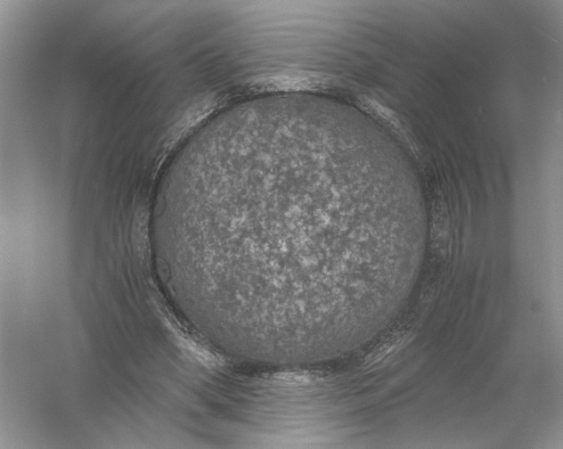 X0000056000394200509092051