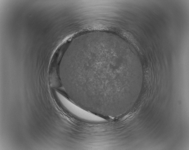 X0000056000395200509092051