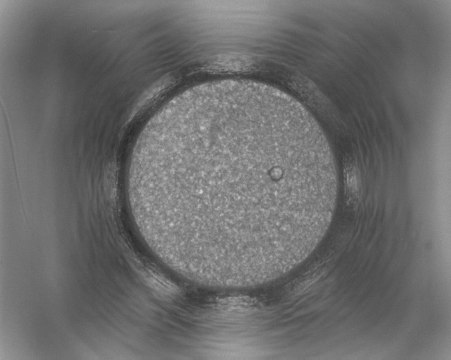 X0000056000396200509092051