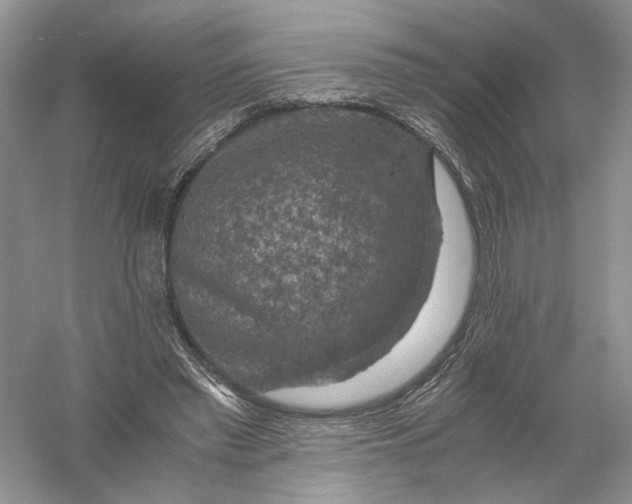 X0000056000397200509092051