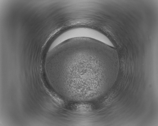 X0000056000400200509092051