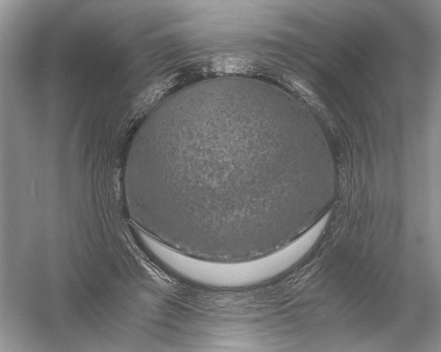 X0000056000401200509092051