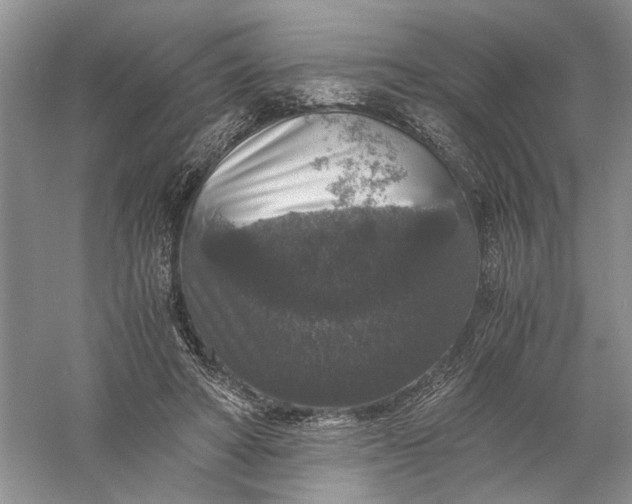 X0000056000402200509092051