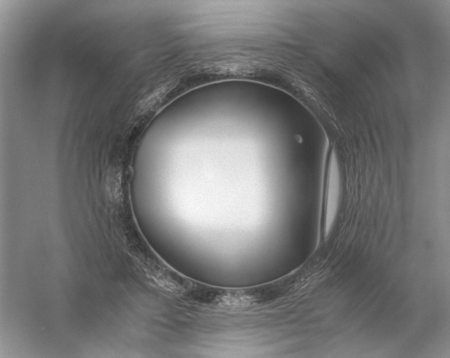 X0000056000403200509092051