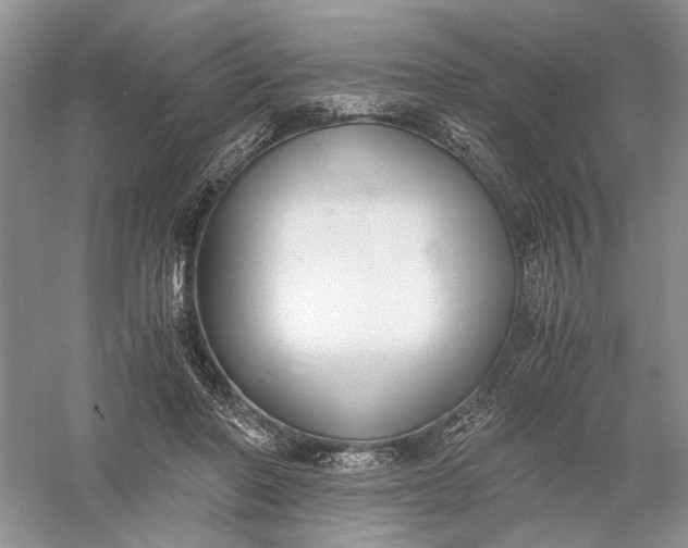 X0000056000406200509092051