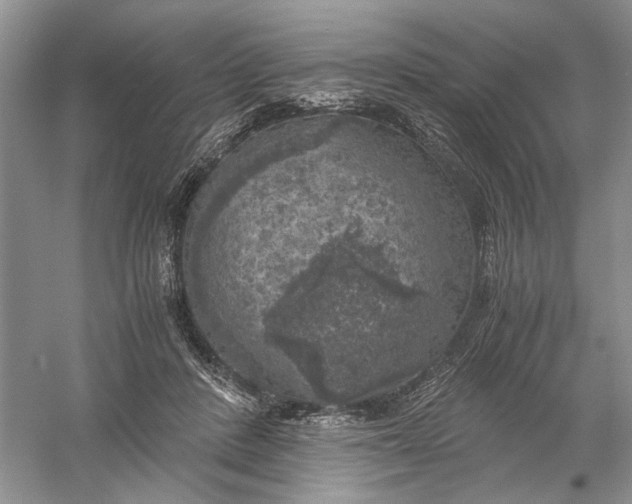 X0000056000408200509092051