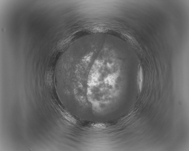 X0000056000409200509092051