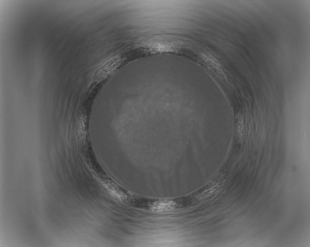 X0000056000410200509092051