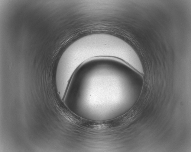 X0000056000411200509092051