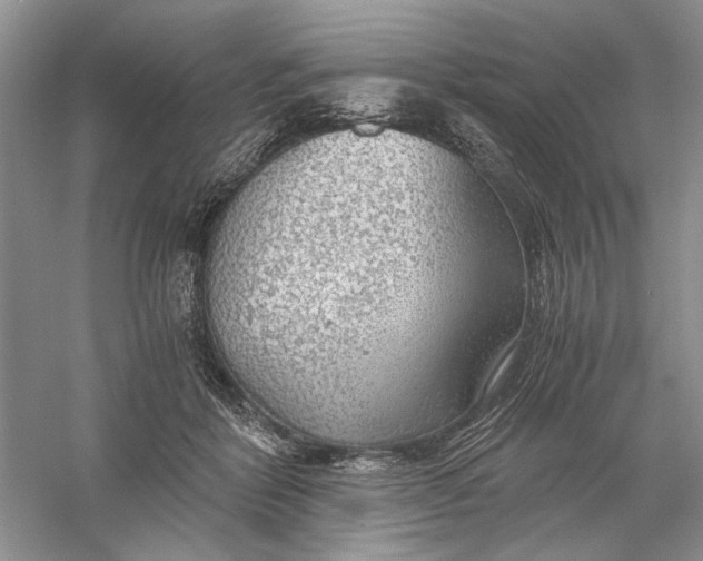 X0000056000412200509092051