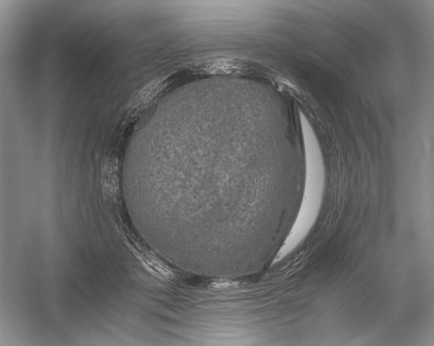 X0000056000413200509092051