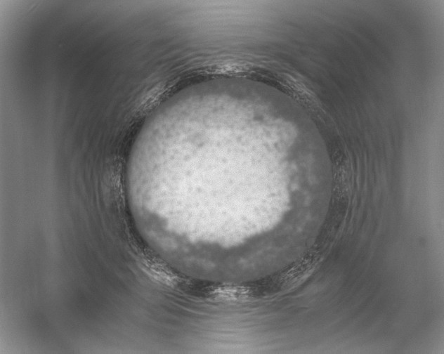 X0000056000415200509092051