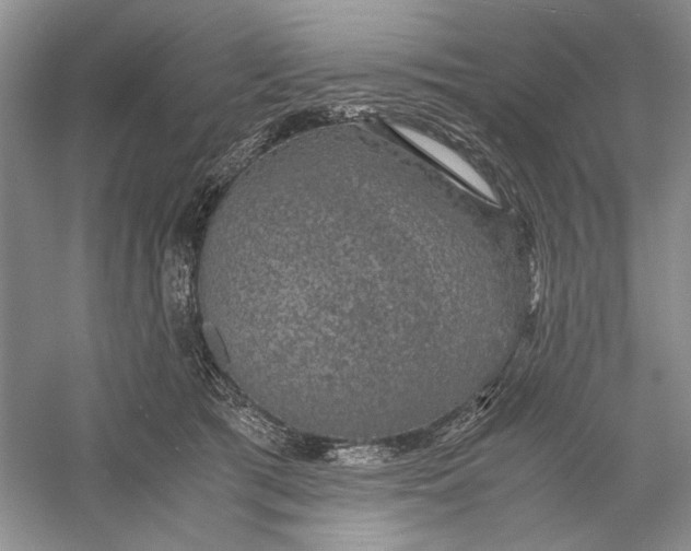 X0000056000417200509092051