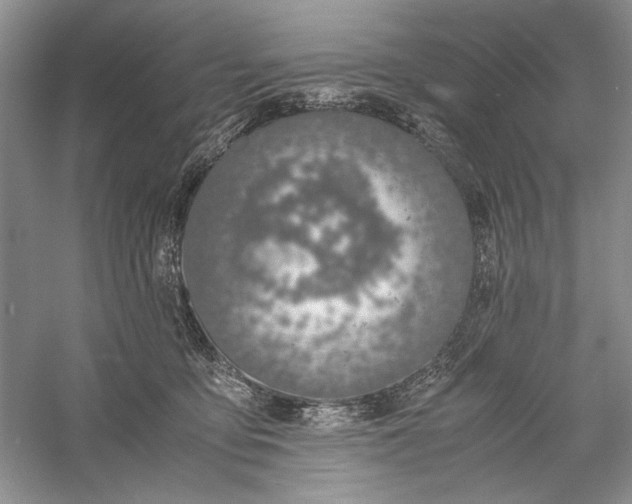 X0000056000419200509092051